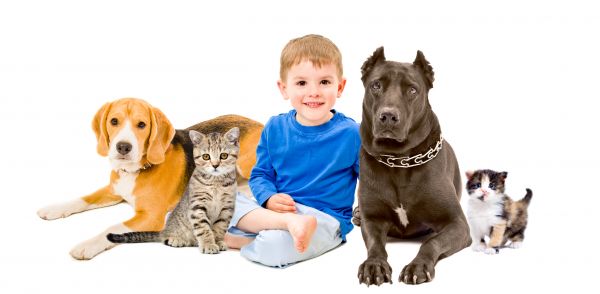 Madison Pets