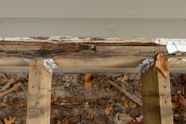 Madison Wood Rot Repair