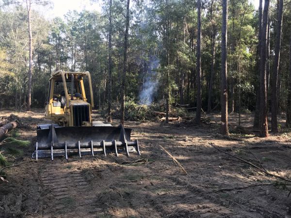 Madison Land Clearing