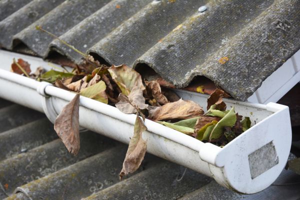 Madison Gutter Cleaning